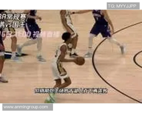 鹈鹕与国王精彩对决直播平台全解析与观赛指南